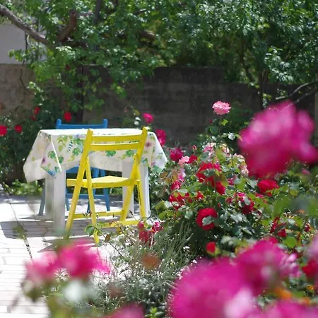 بيت ضيافة Dino And Jele