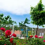디노 앤드 젤리 아파트먼트 3*