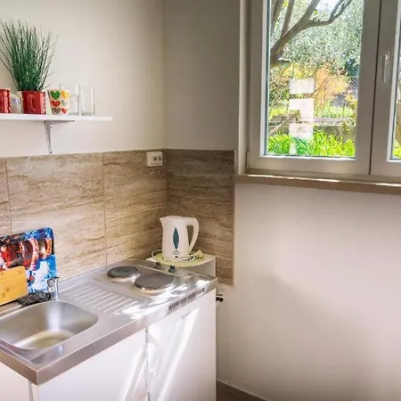 Dino And Jele 招待所 3*