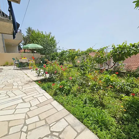 Dino And Jele Guest house